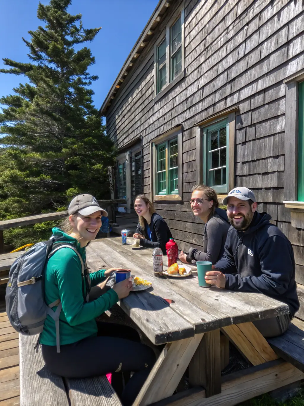 A photograph of a group of hikers enjoying a picnic lunch amidst a lavender field in the Luberon region, France, during a leisurely A.R.P.F. regional excursion.
